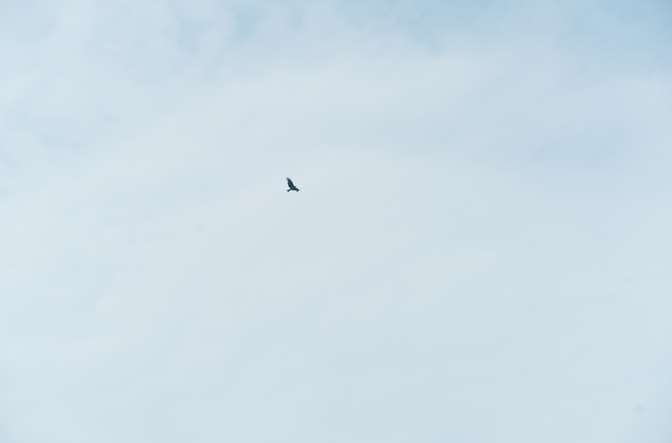 滞在のお楽しみ