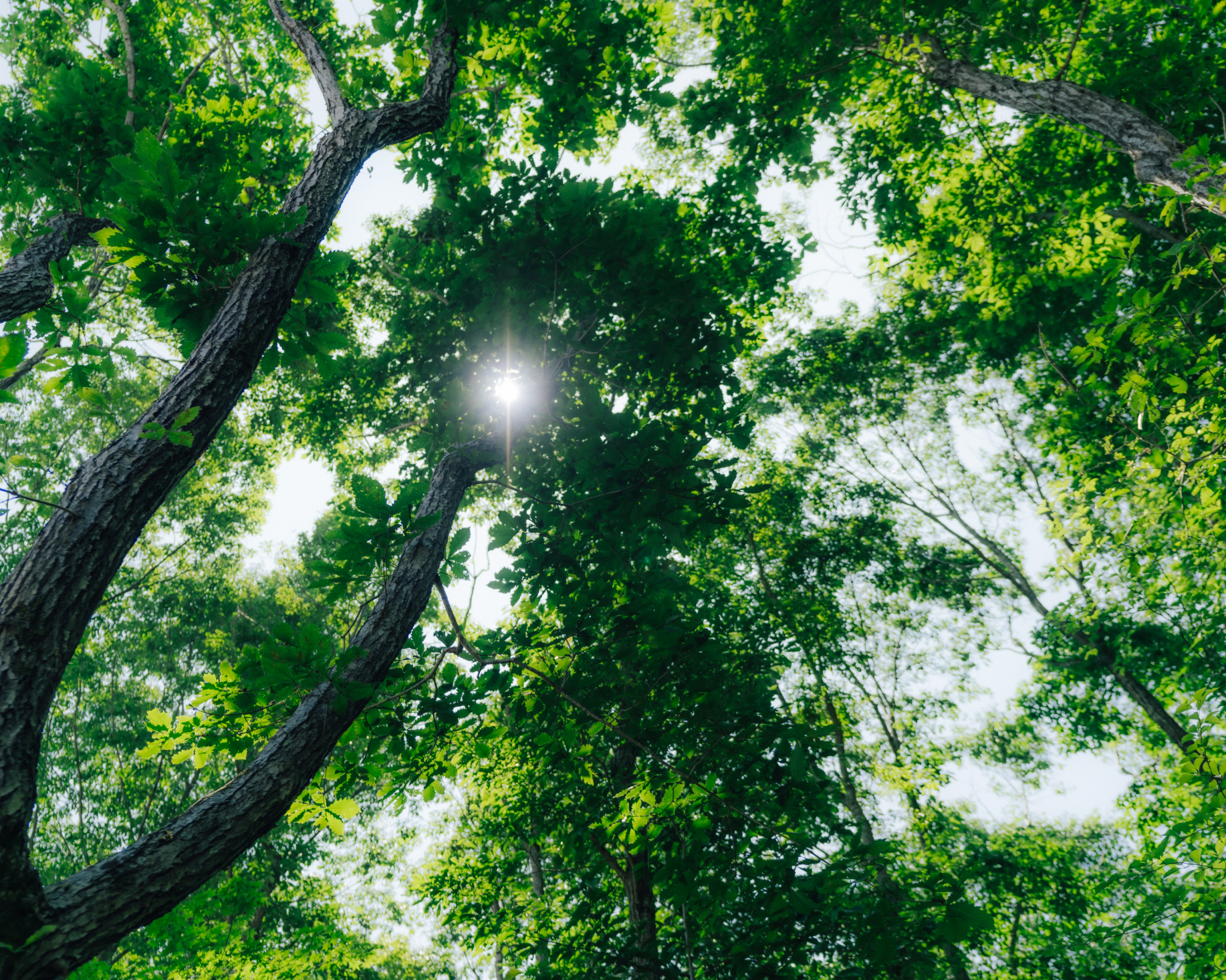 自然の中で身体を動かす