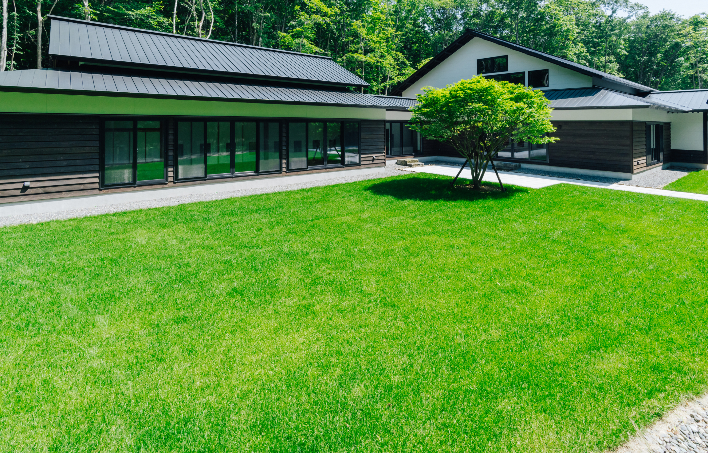 「みつ」について